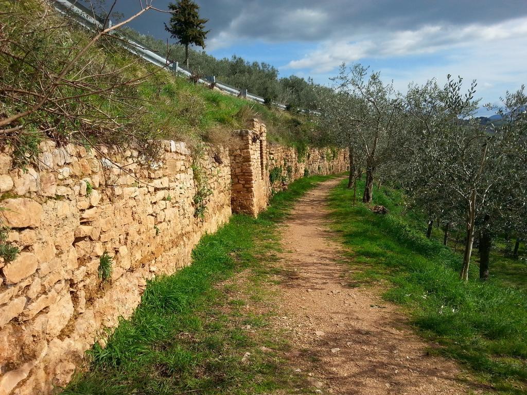 Residence Terra Dei Santi Country House Spello Buitenkant foto
