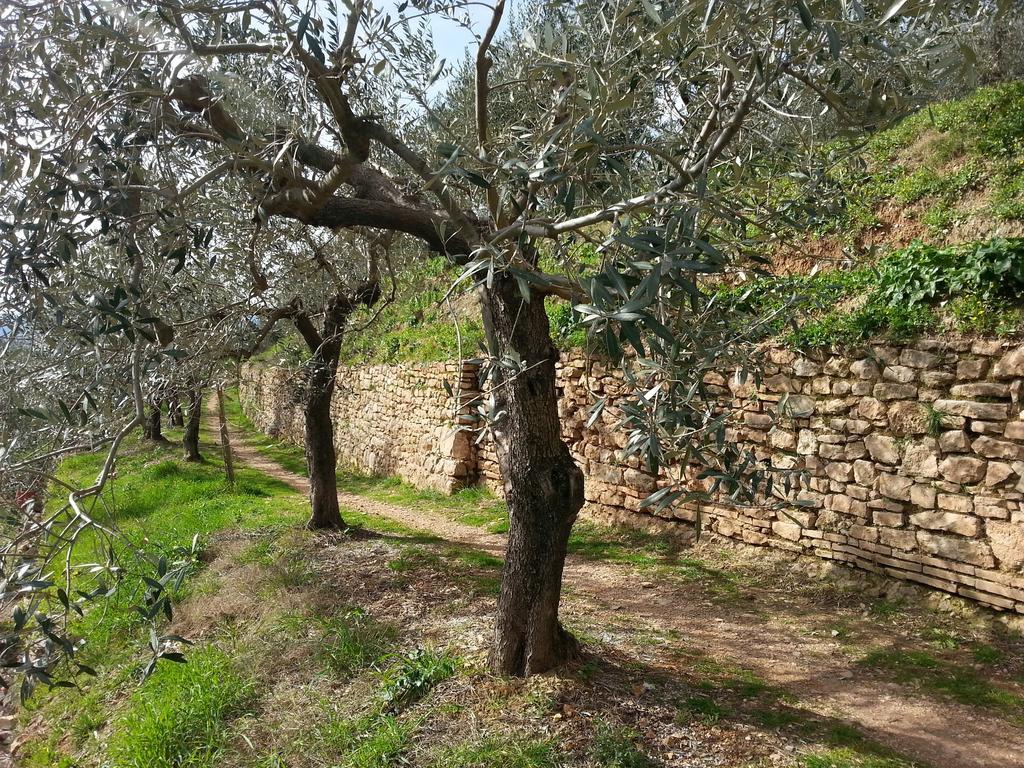 Residence Terra Dei Santi Country House Spello Buitenkant foto